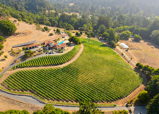 Santa Cruz